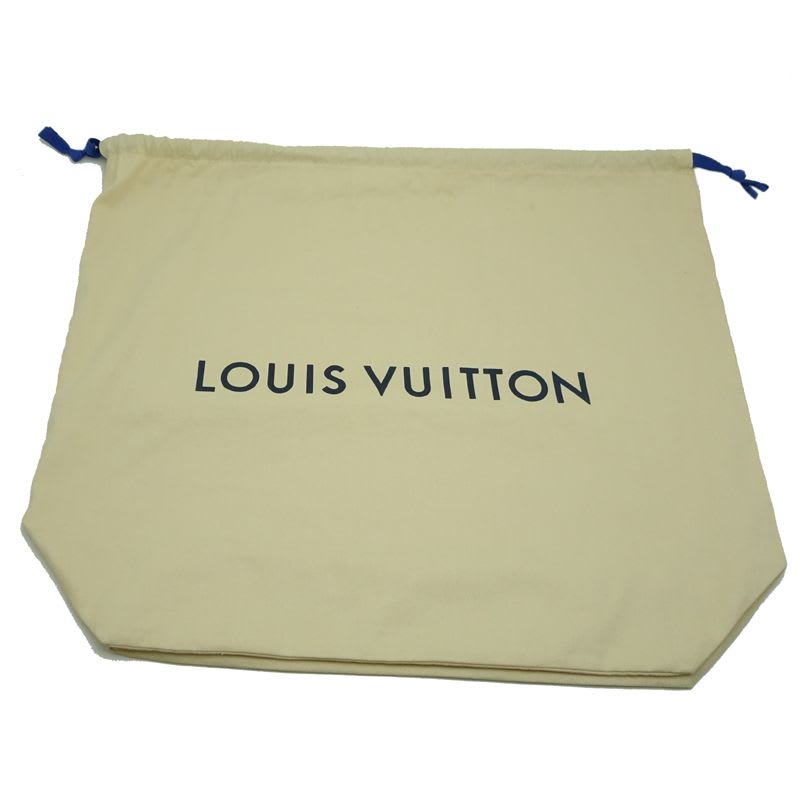 Louis Vuitton Backpack Daypack