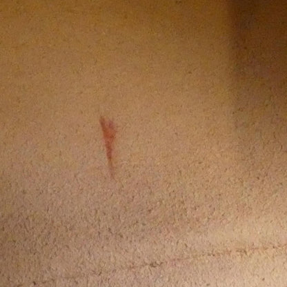 Gucci GG Marmont 447632 Dtd1y Shoulder Bag