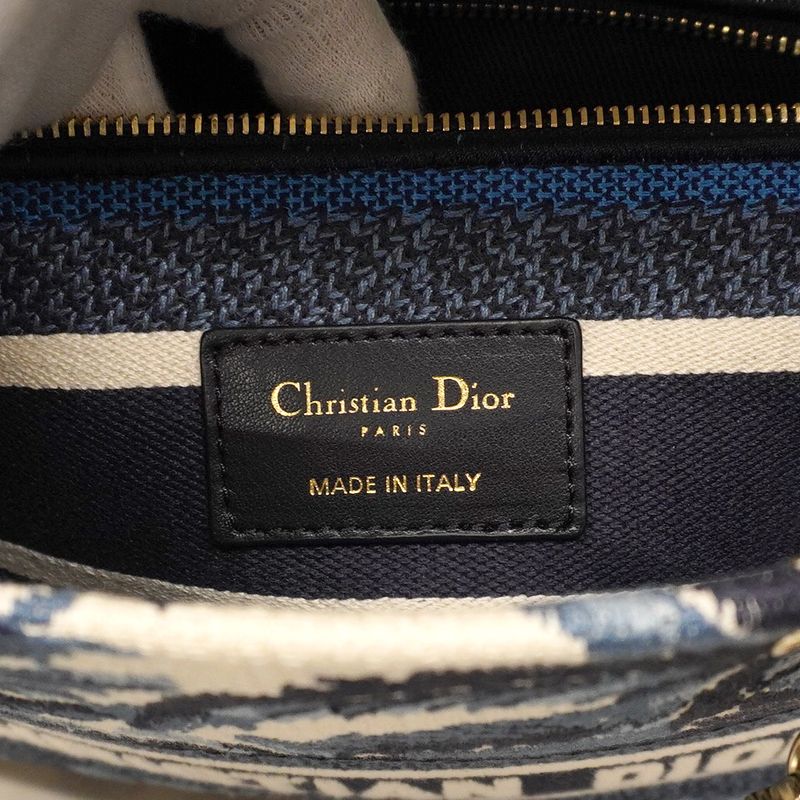 Christian Dior Handbag Lady D Light Canvas Blue White Chien Pan Gold Hardware