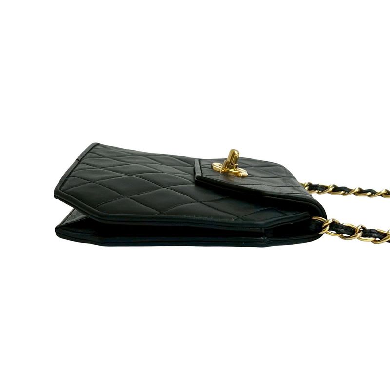 Chanel Chanel Quilted Coco Lambskin Leather Chain