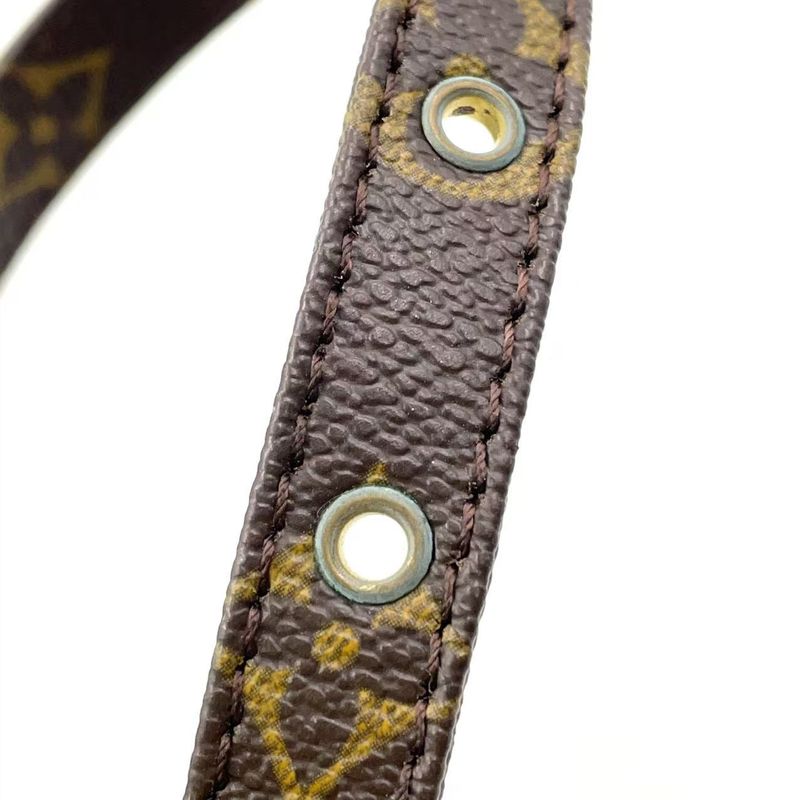 Louis Vuitton Danube Monogram Leather ×pvc Brown Shoulder Bag Gold M45266