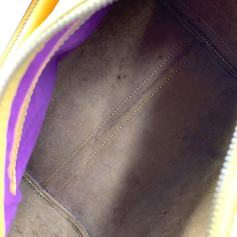 Louis Vuitton Speedy 25 Epi Tassili Yellow Leather Yellow Handbag Gold M43019