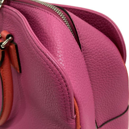 Loewe Handbag Alamo Addy 329.84bf31 Pink X Red Leather