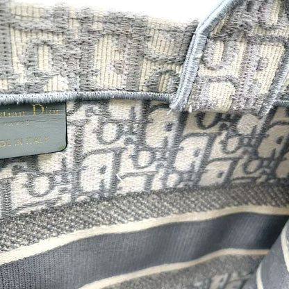 Christian Dior Book Tote Medium Oblique Canvas Ivory and Light Gray Tote Bag