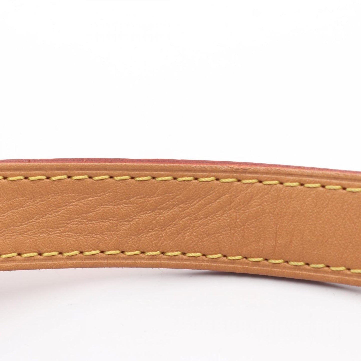 Louis Vuitton Shoulder Bag Boite Chapeau Souple PM M45578 PVC Coated Canvas