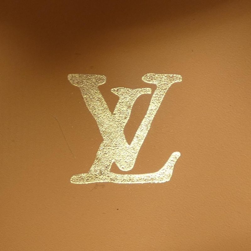 Louis Vuitton LV Dandy Line Shoes