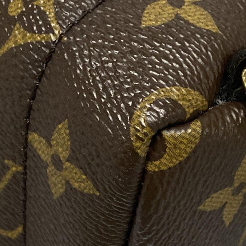 Louis Vuitton Backpack Sac Monogram Palm Spring Backpack Mini M41562