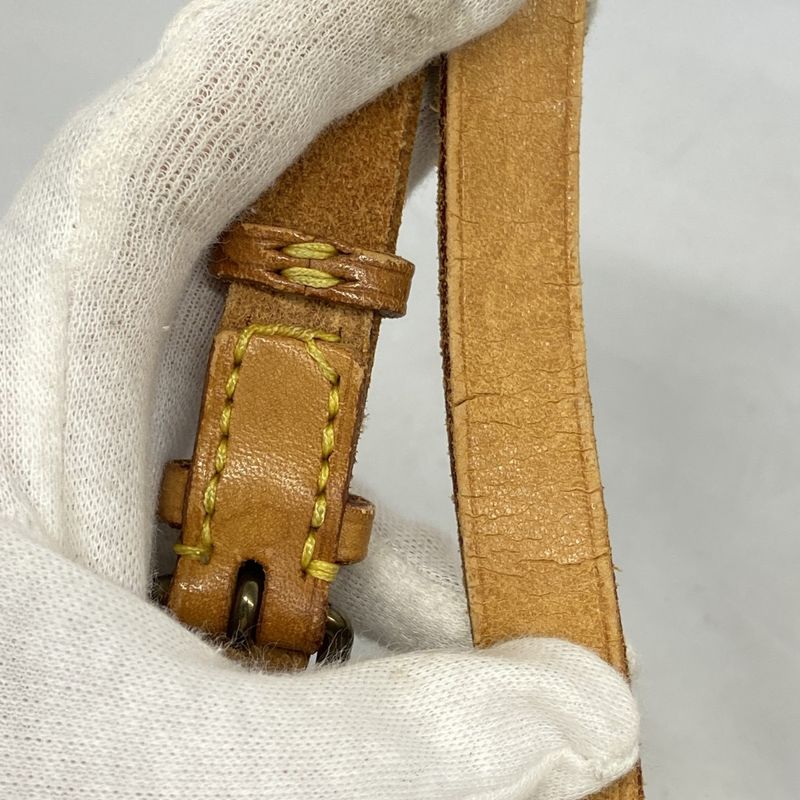 Louis Vuitton Shoulder Bag Monogram Mini Cartociere M51254 Brown Women's