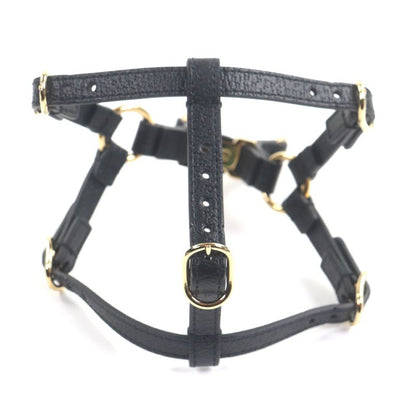 Gucci Leather Interlocking G Dog Torso Harness Black Gold Hardware XS