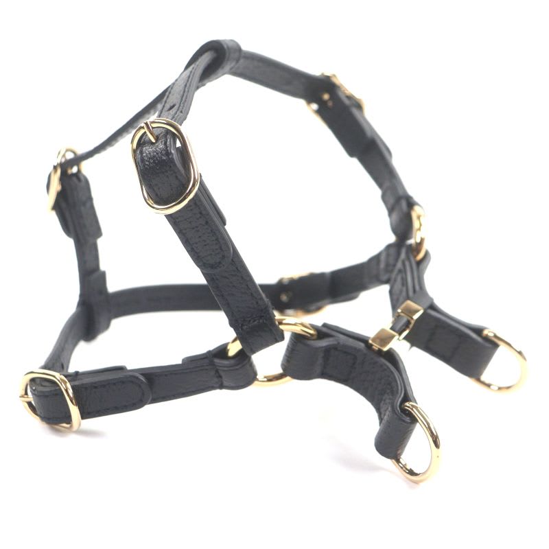 Gucci Leather Interlocking G Dog Torso Harness Black Gold Hardware XS