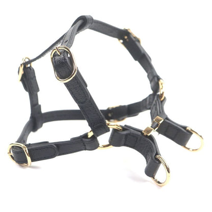 Gucci Leather Interlocking G Dog Torso Harness Black Gold Hardware XS