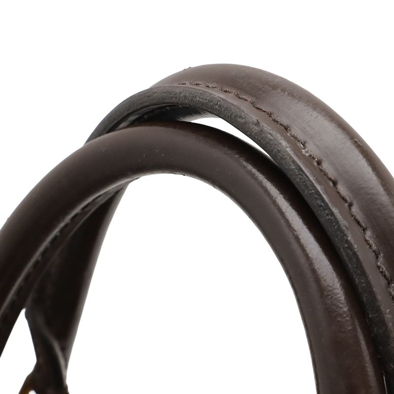 Louis Vuitton Damier Sienna MM Handbag 2WAY Shoulder Bag Crossbody N41546