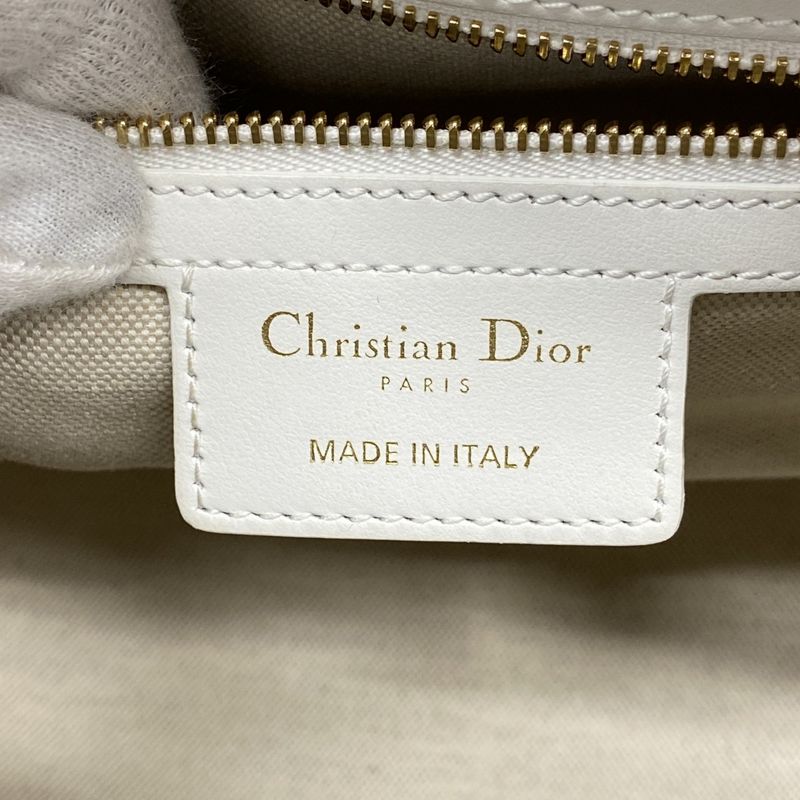 Christian Dior Handbag Vibe Leather White Navy Chien Pangold Hardware Ladies
