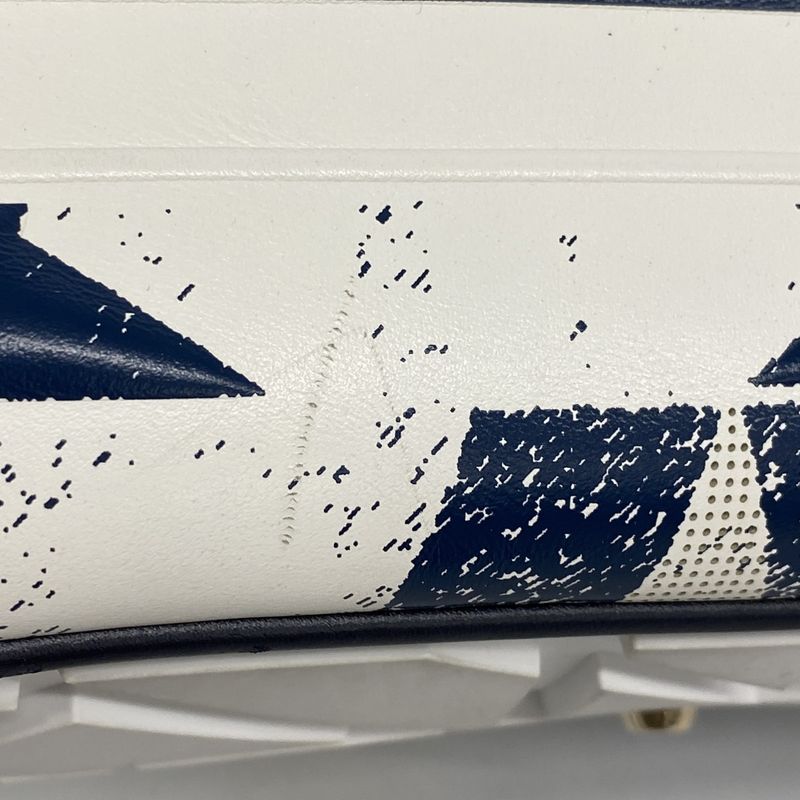 Christian Dior Handbag Vibe Leather White Navy Chien Pangold Hardware Ladies