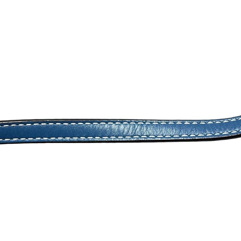 Loewe Shoulder Bag - Blue Smartphone Pochette Leather