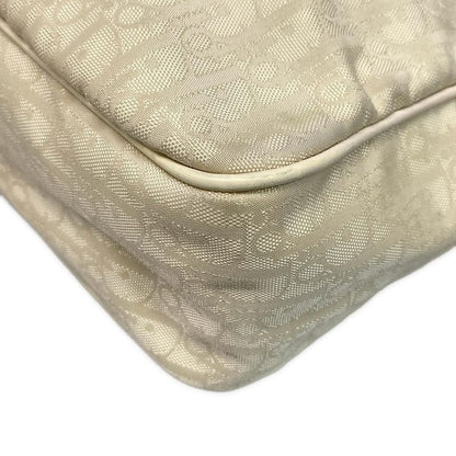 Dior Christian Dior Shoulder Bag Trotter Beige Leather