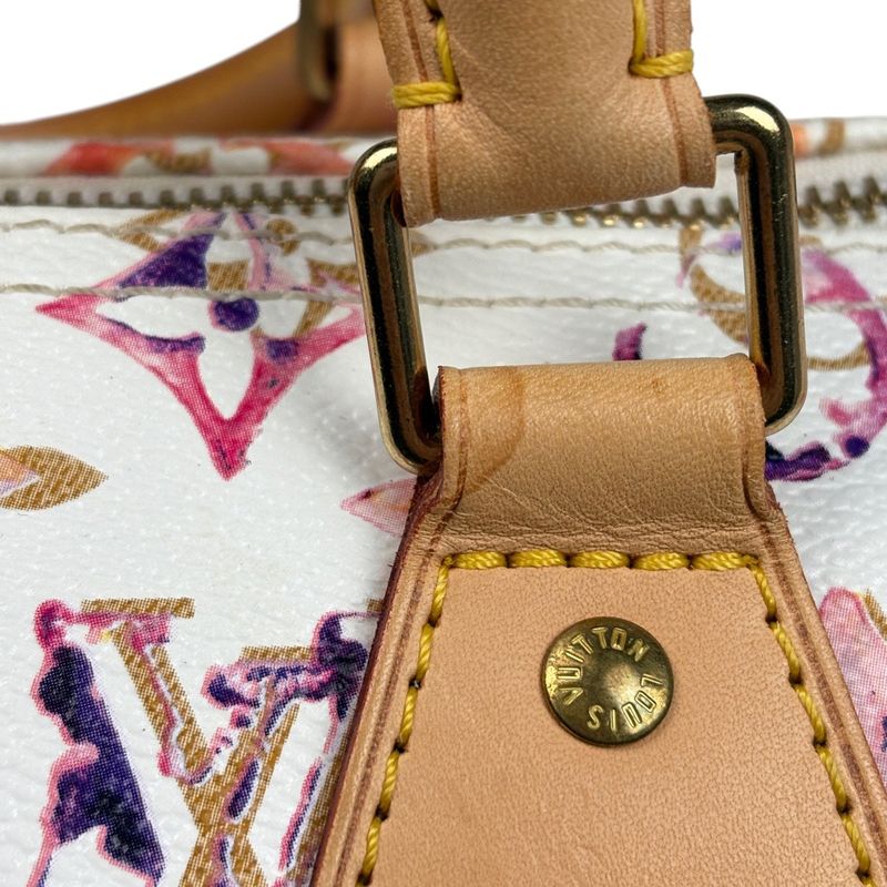 Louis Vuitton Speedy 30 Boston Bag Shopping Commuting Monogram Water Color