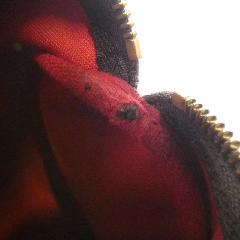 Louis Vuitton Damier Speedy 25cm (9.84in) N41365 Boston Bag