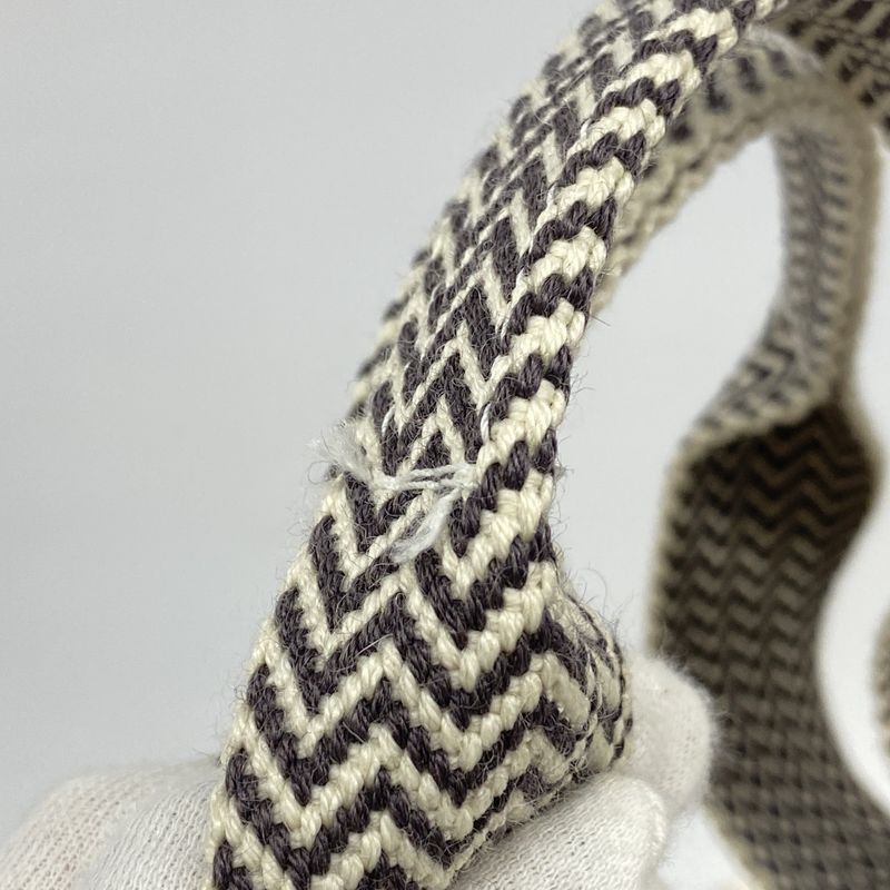 Hermes Tote Bag Cannes MM Canvas Brown Silver Hardware Ladies