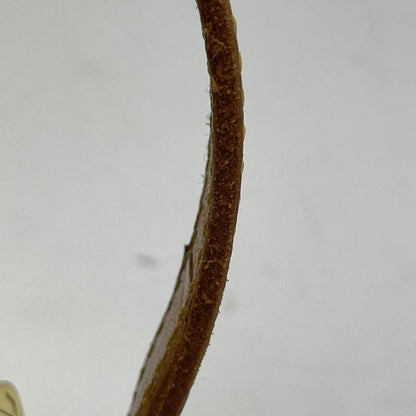 Louis Vuitton Blois Crossbody Shoulder Bag Monogram Brown M51221 Women's