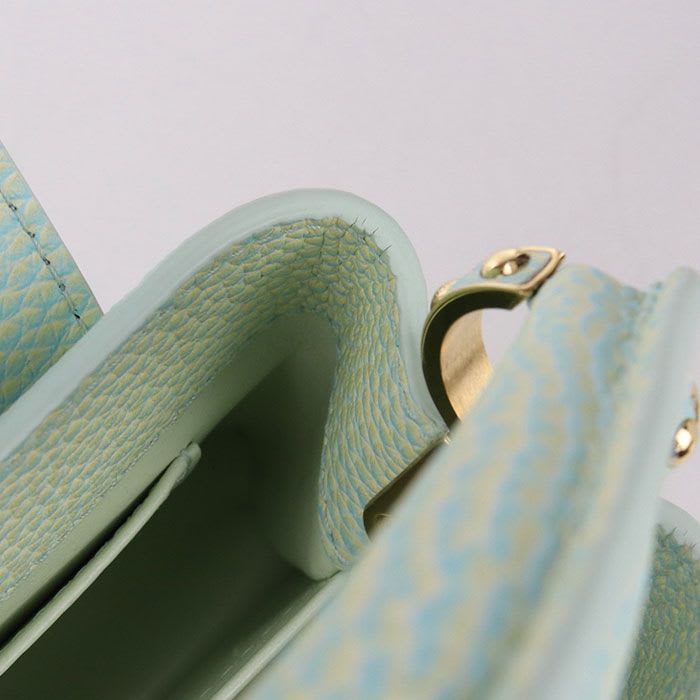 Louis Vuitton Capucines Mini 2-Way Summer Stardust Handbag Taurillon