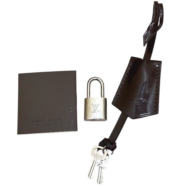 Louis Vuitton Epi Electric Pont Neuf PM M40456 Prunnu Bag Boston Bag Women's