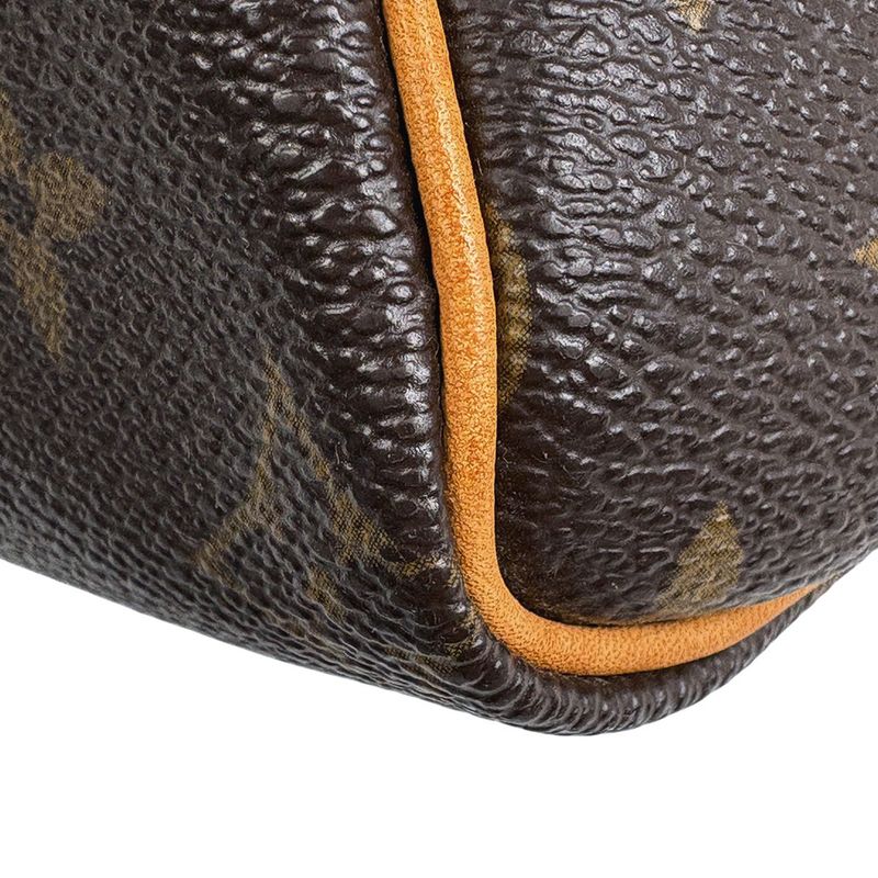 Louis Vuitton Speedy 25 Boston Bag Commuter Handbag Monogram Brown M41528
