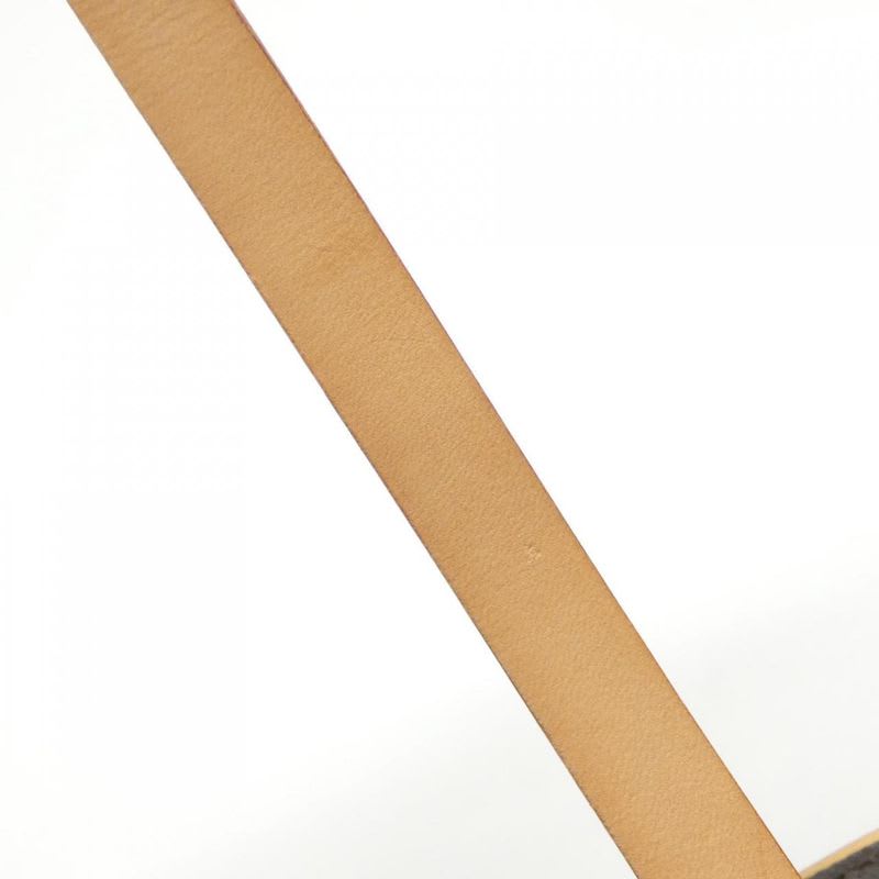 Louis Vuitton Monogram Pochette Florentine XS Waist Bag