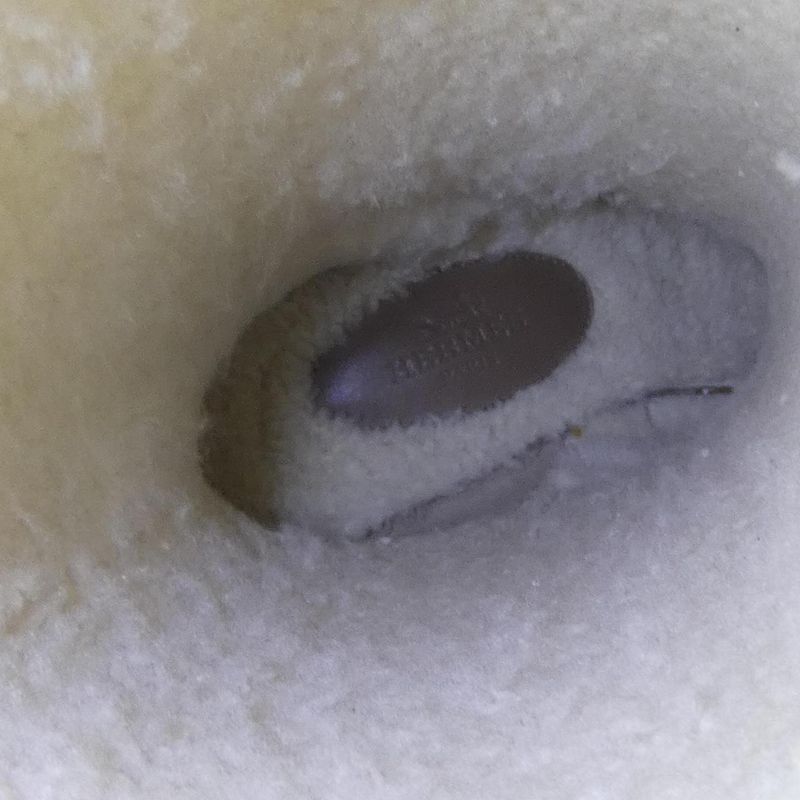 Hermes Folie 222063z Boots