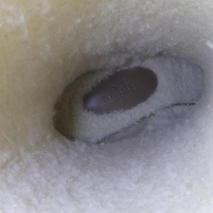 Hermes Folie 222063z Boots