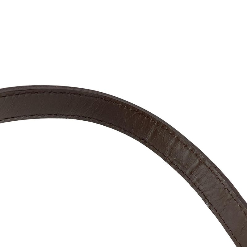 Louis Vuitton Shoulder Bag Damier Musette N51302 Ebene