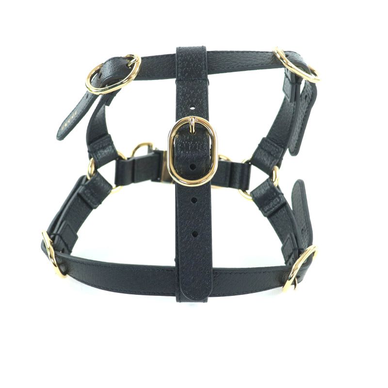 Gucci Leather Interlocking G Dog Torso Harness Black Gold Hardware S Box
