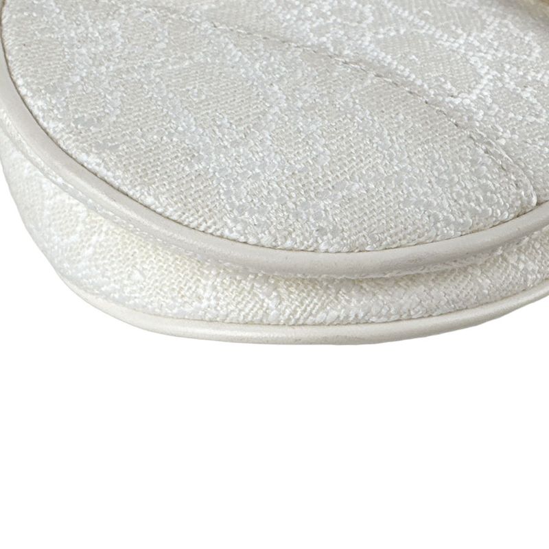 Christian DIOR Handbag Saddle