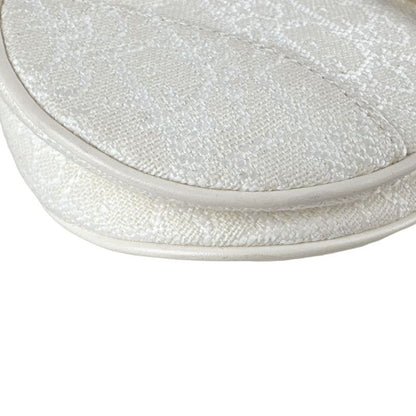 Christian DIOR Handbag Saddle