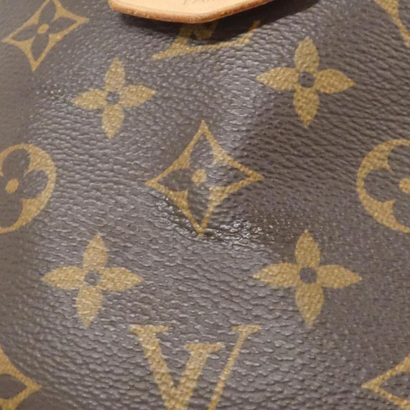 Louis Vuitton Monogram Bum Bag M43644 Shoulder Bag