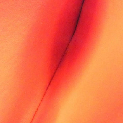 Louis Vuitton Monogram Empreinte (LV X YK) Portefeuille Sarah M81909 Wallet