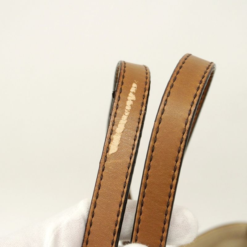 Gucci Tote Bag GG Canvas 247209 Canvas Brown Chien Pan Gold Hardware Women's