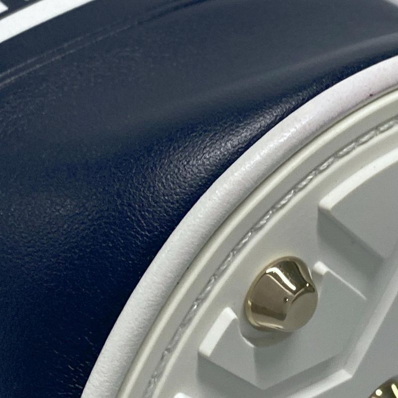 Dior Christian Dior Handbag Vibe Micro Bucket Bag Navy X White Mini Size