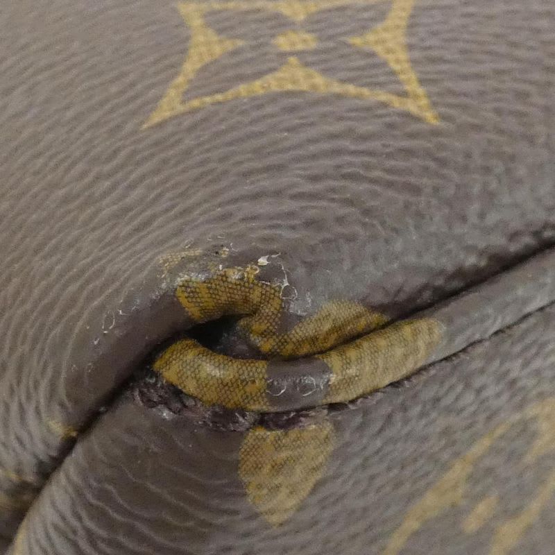 Louis Vuitton Monogram Petit Palais PM Bag