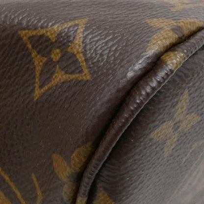 Louis Vuitton Monogram Neverfull MM M46987 Bag