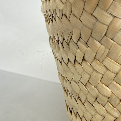 Celine Tote Bag Triomphe Basket Bag Raffia Beige Brown Ladies