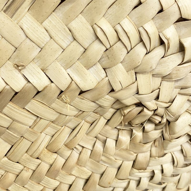 Celine Tote Bag Triomphe Basket Bag Raffia Beige Brown Ladies