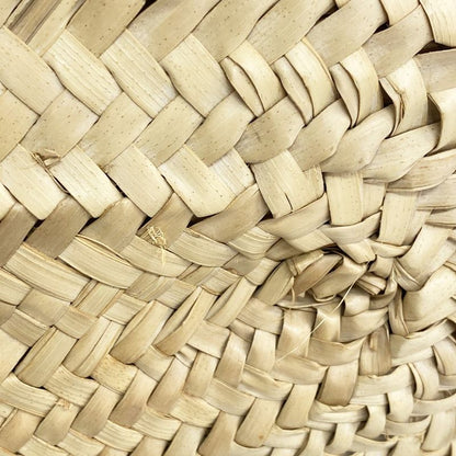 Celine Tote Bag Triomphe Basket Bag Raffia Beige Brown Ladies