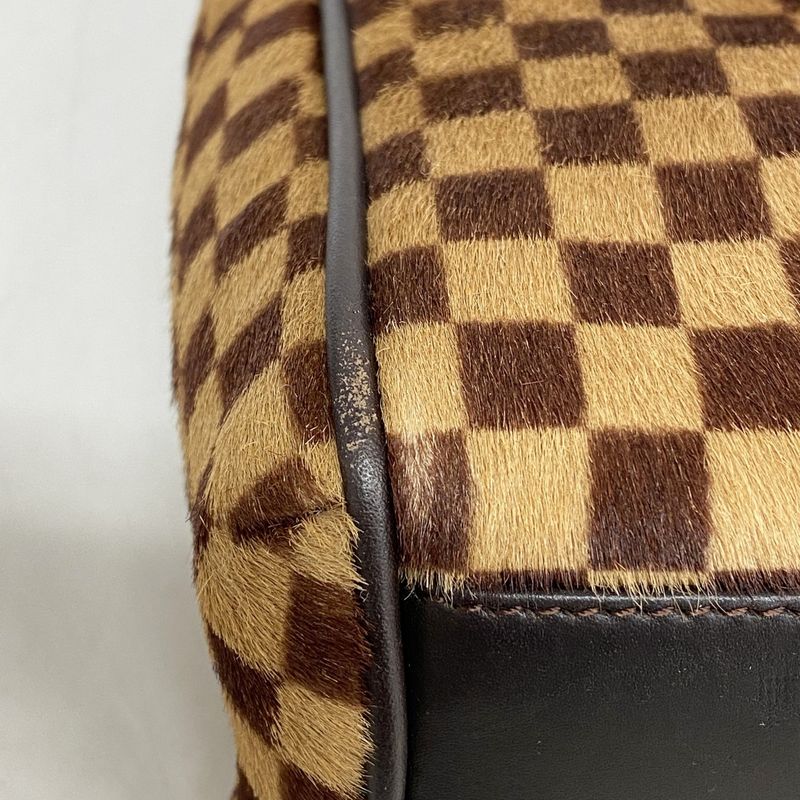 Louis Vuitton Handbag Damier Sauvage Lion M92131 Brown Ladies