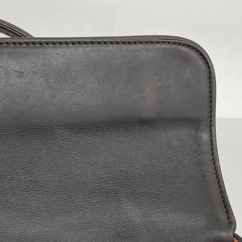 Louis Vuitton Handbag Damier Sauvage Lion M92131 Brown Ladies