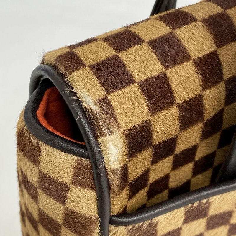 Louis Vuitton Handbag Damier Sauvage Lion M92131 Brown Ladies