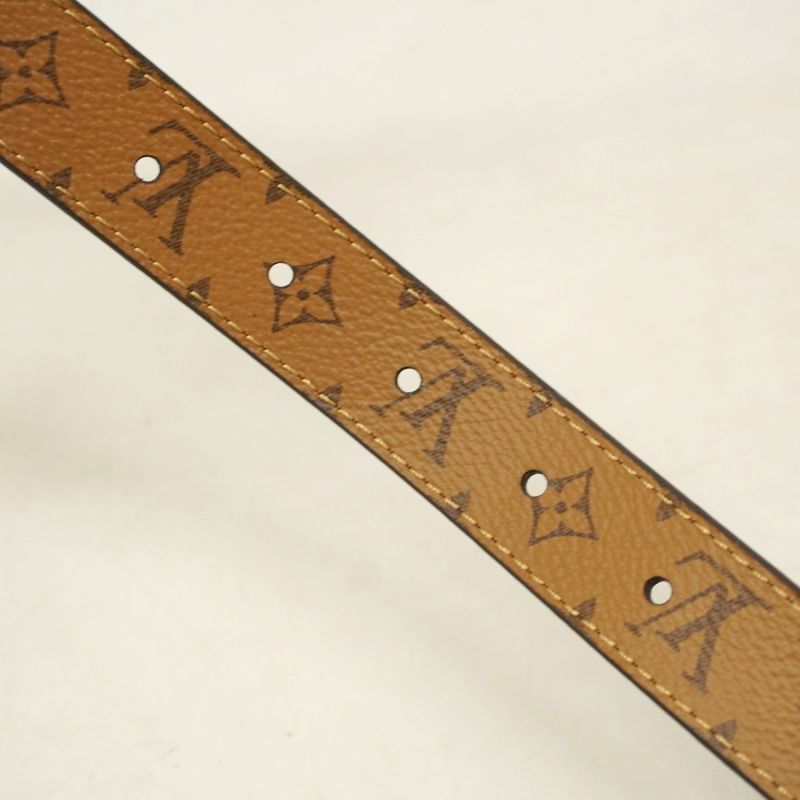 Louis Vuitton Belt Monogram Reverse Sun Tulle Dauphine M0203 Brown Men's