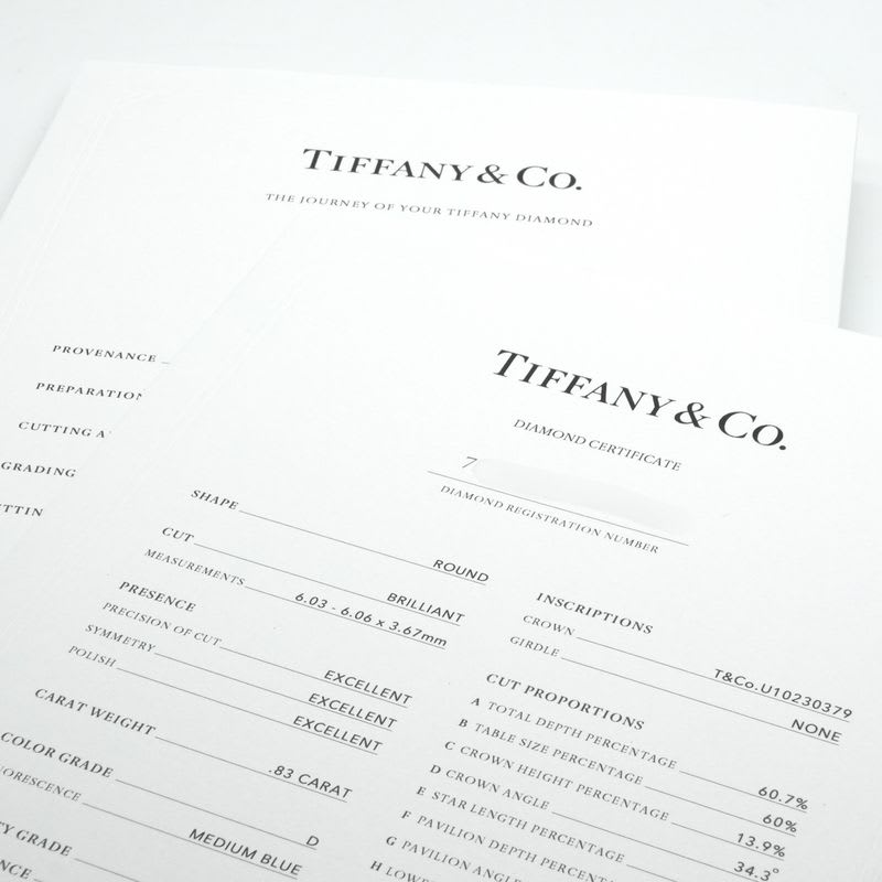 Tiffany & Co Round Brilliant Cut Diamond Platinum Band