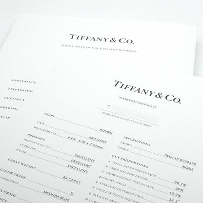 Tiffany & Co Round Brilliant Cut Diamond Platinum Band