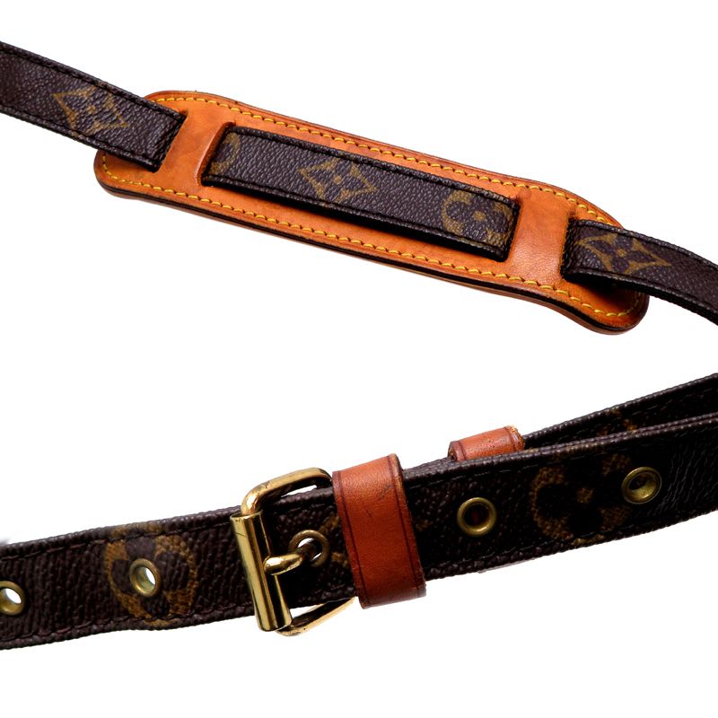 Louis Vuitton Shoulder Bag